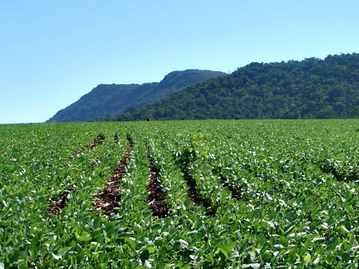 Espacios de reflexión en torno a los agroquímicos