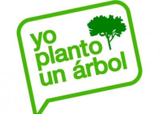 Yo Planto Un Árbol, ¿y usted?