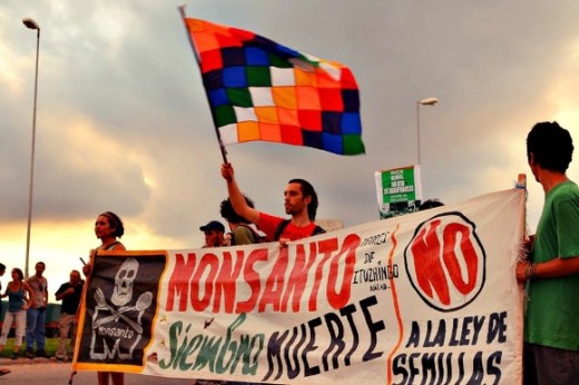 Monsanto no logró comprobar que su planta no contaminará