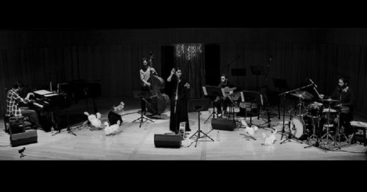 Proyecto Pato en Concierto