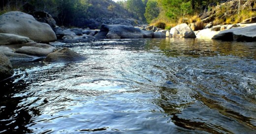 Las patas en el río