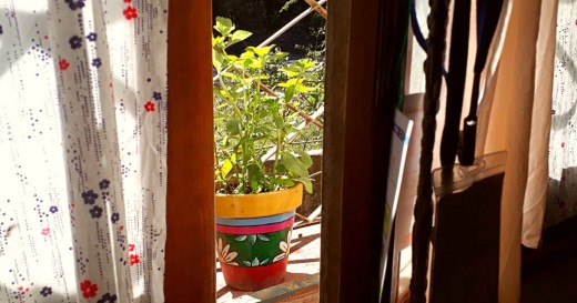 Trapitos al sol