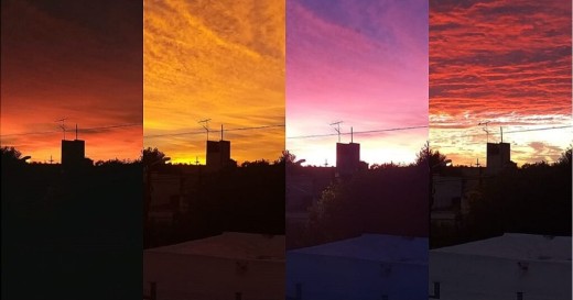 ¿Qué vas a hacer?