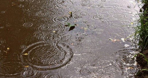 La lluvia y su promesa