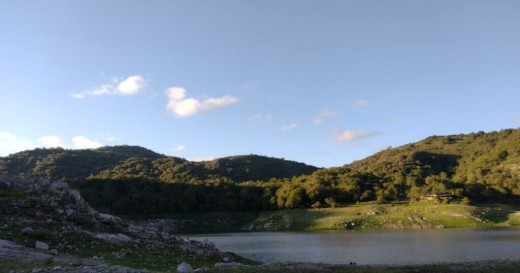 Y mi jardín, ahí