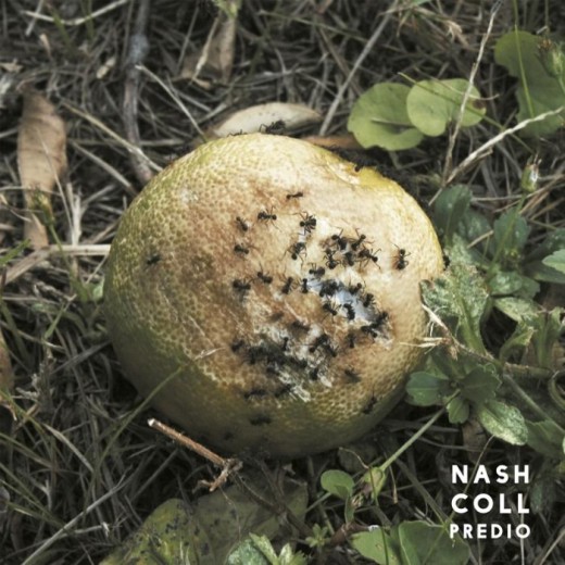 Nash Coll presenta «Predio»