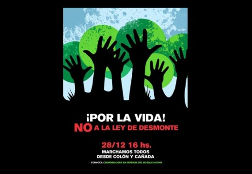 Manifiesto y Marcha en Defensa del Bosque Nativo