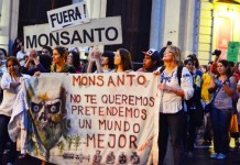Movilización contra el uso de agrotóxicos y Monsanto
