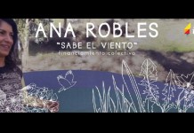 Financiamiento Colectivo para nuevo disco de Ana Robles