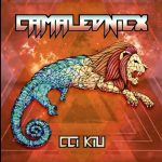 cci kiu camaleonix